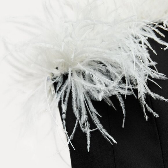 Zara Stretchy Feather Dress - Picture 8 of 14